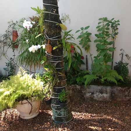 San Remo Apartamento Praia Do Tombo Guarujá Eksteriør billede